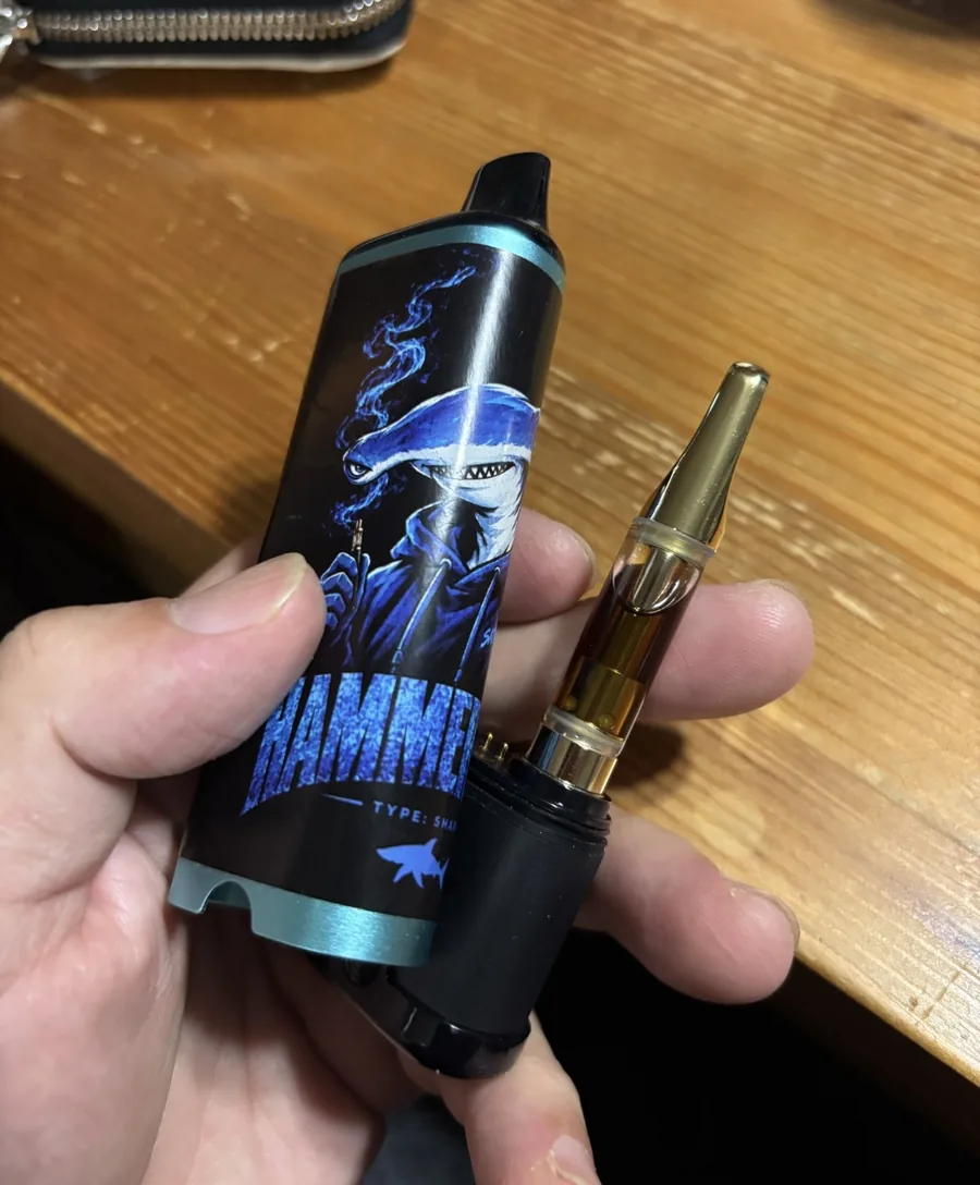 HAMMERHEAD 実レビュー写真